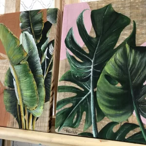 Alternative view of FOLHA DE BANANEIRA/COSTELA DE ADÃO