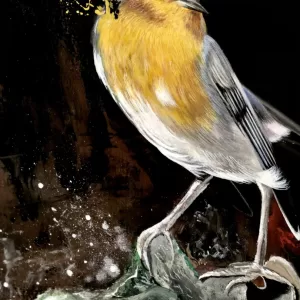 Alternative view of PETTIROSSO