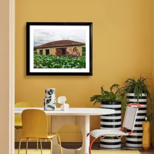 Alternative view of GIRASSOL