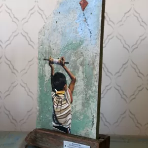 Alternative view of C A R R E T E L