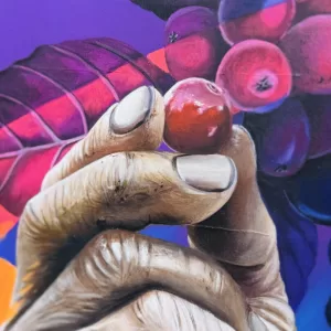 Alternative view of O CATADOR DE CAFÉ