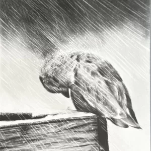 Alternative view of TEMPORAL